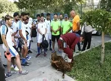 راه حل بازگشت استقلال به اوج مشخص شد؛ کشتن گوسفند!