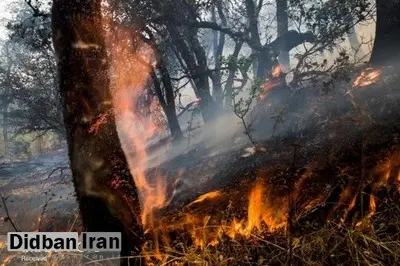 بالگرد آبپاش در ترکیه/ جنگل های زاگرس همچنان در آتش/ تصاویری از جانباختگان مهار آتشسوزی زاگرس