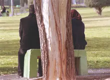 طلاق توافقی با تخفیفات ویژه