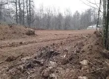 تکلیف مقصران ماجرای «الیمالات» هنوز روشن نیست/ چرا ترکش قطع درختان جنگلی، فقط به مدیران منابع طبیعی اصابت کرد؟