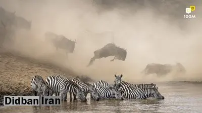 این عکس از میان ۹۴ هزار عکس در نشنال جئوگرافیک اول شد
