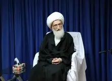 نامه یک مرجع تقلید به پاپ/ آیت الله نوری همدانی: آنچه در غزه در حال وقوع است با هیچ یک از موازین دینی، انسانی و اخلاقی قابل تصور نیست