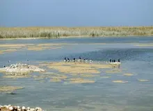 گزارش  از بازگشت حیات به ١٠ تالاب اصلی کشور