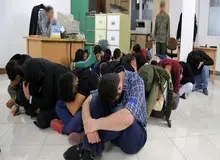 تهران رکورددار بیشترین فعالیت شرکت‌های هرمی