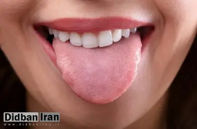 ترکیب گرافن و هوش مصنوعی؛ دانشمندان زبانی با قابلیت چشایی نزدیک به انسان ساختند