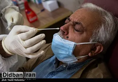 فیلم/ مردانی، عضو ستاد کرونا: کرونای جهش یافته ایرانی در راه است