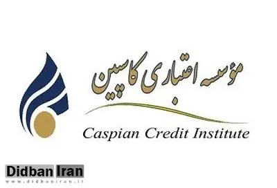 پرداخت وجوه  ۶۵۰ هزار سپرده‌گذار این موسسه در بهار سال بعد در اولویت پرداخت قرار می گیرد