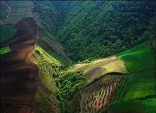 درخواست سازمان جنگل‌ها از رئیس قوه قضاییه برای ورود به پرونده ۵۶۰۰ هکتاری جنگل‌های هیرکانی/ به داد منابع طبیعی برسید!