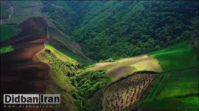 درخواست سازمان جنگل‌ها از رئیس قوه قضاییه برای ورود به پرونده ۵۶۰۰ هکتاری جنگل‌های هیرکانی/ به داد منابع طبیعی برسید!