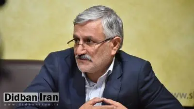 میرزایی‌نیکو: دستکاری بودجه فقط در مجلس یازدهم رخ داد