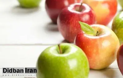 محققان: مصرف غذاهای سالم توسط مادر میتواند تا چند نسل سلامت مغز فرزندان را بهبود دهد