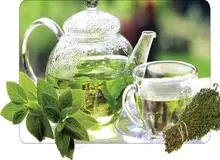 فواید بی‌نظیر گیاه پونه کوهی حریف را بشناسید