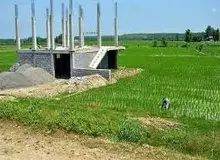 ویلا سازی ممنوع/ هرگز شالیزارهای رشت خانه نمی‌شوند
