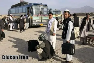 استاندار البرز: امسال ۳۰ تا ۴۰ هزار تبعۀ خارجی به صورت داوطلبانه از استان خارج شدهاند