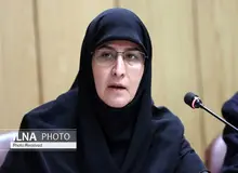 حکیم زاده: بکارگیری معلم مَرد برای پسرانِ دوره دوم ابتدایی موثرتر است