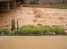 پایانه مسافربری حضرت علی ابن حمزه (ع) در شیراز تخلیه شد