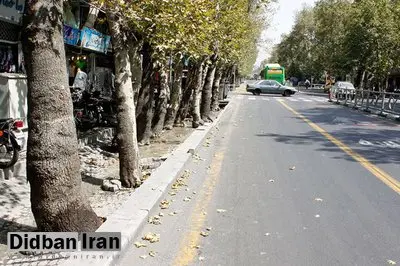 سقوط درخت بر روی موتورسیکلت سوار در خیابان ولی‌عصر(عج)/ بابایی: شهروندان هشدار داده بودند اما شهرداری توجه نکرد