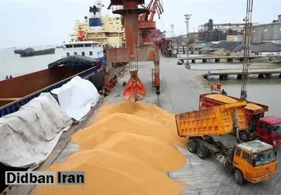 ترخیص روزانه نهاده‌های دامی از گمرک/ وزیر جهادکشاورزی: هیچ نگرانی در تامین نهاده وجود ندارد