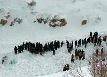 طرح ممنوعیت شلیک مستقیم به کولبران هفته آینده به مجلس می‌آید
