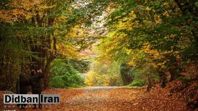 پاییز هزار رنگ جنگلهای هیرکانی+ تصاویر