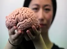 این ماده مغز را پیر می‌کند