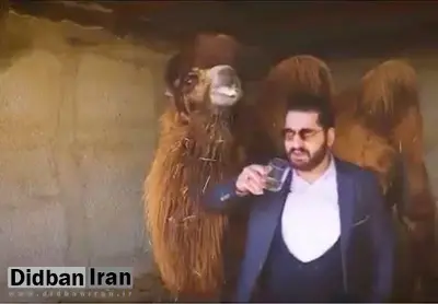 مهدی سبیلی؛ مدیر مرکز علمی "طب الصادق" و تبلیغ کننده مزایای نوشیدن ادرار شتر بازداشت شد