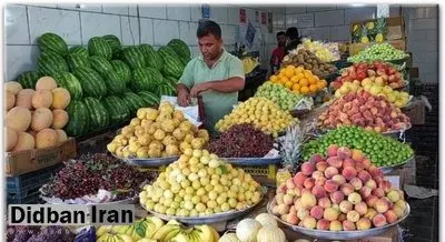 میوه ارزان می شود