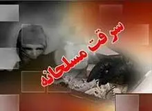 سرقت مسلحانه از طلا فروشی در ارومیه