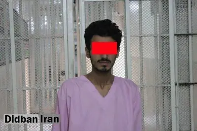 جزئیات قتل دانشجوی دختر دانشگاه تهران
