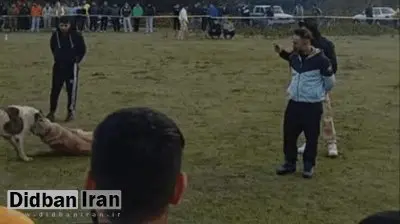 این چهار نفر بازداشت شدند/ماجرا چیست؟