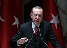 اردوغان: با وجود همه اختلاف نظرها منافع مشترک با آمریکا داریم
