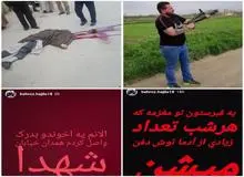 جزئیات درگیری مسلحانه و کشته شدن قاتل روحانی همدانی