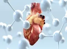 سن سکته‌ قلبی در ایران ۱۰ سال زودتر از اروپا