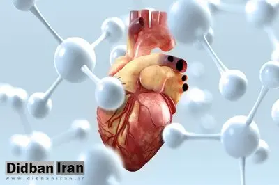 سن سکته‌ قلبی در ایران ۱۰ سال زودتر از اروپا