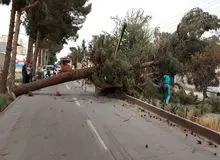 آتش نشانی: در طوفان دیشب کرج، ۷ درخت روی خودرو‌ها سقوط کردند؛ سقف یک واحد تجاری ریخت و یک دیوار نیز روی خودرو ریزش کرد