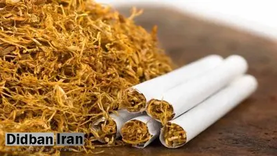 کشف ۱۳۰۵ بسته توتون و تنباکوی قاچاق در شهرستان سمنان