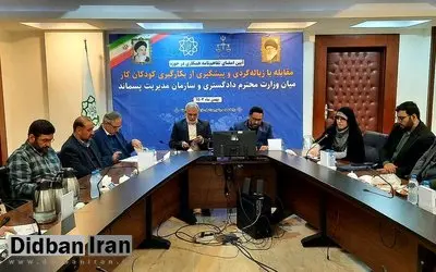 مدیرعامل سازمان مدیریت پسماند: مافیای زباله گردی ۳ هزار میلیاردتومان از زباله خشک درآمد دارند