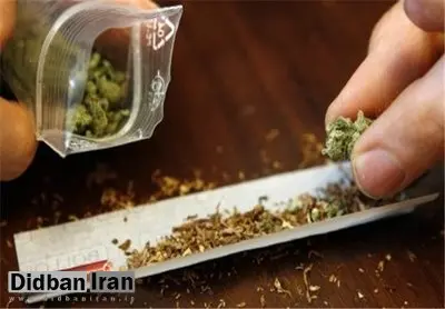 آمار خطرناک از سن پایین مصرفکنندگان گل در ایران