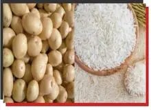 ارگان رسانه ای دولت:  اطلاعاتی از سطح مزرعه و بازار سیب زمینی و برنج نداریم