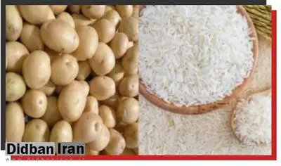 ارگان رسانه ای دولت:  اطلاعاتی از سطح مزرعه و بازار سیب زمینی و برنج نداریم