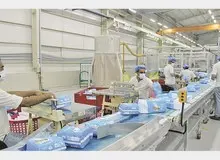 تولید دستمال کاغذی و پوشک شبانه روزی شد
