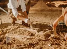 کشف شگفت‌انگیز دانشمندان: فسیل ۵۲۰ میلیون ساله با مغز و روده‌هایی سالم مثل روز اول پیدا شد