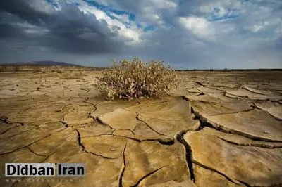 رییس سازمان هواشناسی: شرایط جوی کشور در حال حرکت به سمت خشکسالی است