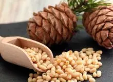 معجزه مغز کاج در زیبایی پوست/ سلامت قلبتان را با این میوه تضمین کنید