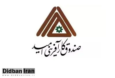مدیرعامل صندوق کارآفرینی امید منصوب شد