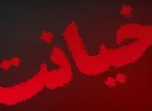 شوهر برای اینکه همسرش را به خیانت متهم کند، پسرخاله اش را وادار به ارتباط با او کرد
