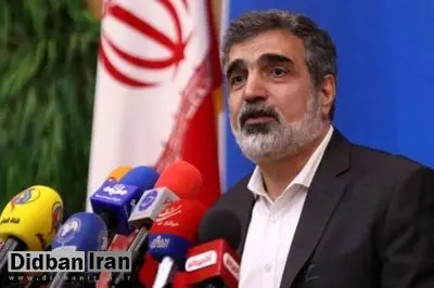 سخنگوی سازمان انرژی اتمی: بازرسان آژانس بر تعویض سوخت نیروگاه بوشهر نظارت میکنند