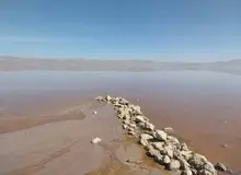 هشدار یک فعال محیط زیست: بحران در کمین آب‌های زیرزمینی تالاب‌ها / چشمه‌های آب شیرین مهارلو، آب شور بازمی‌گردانند