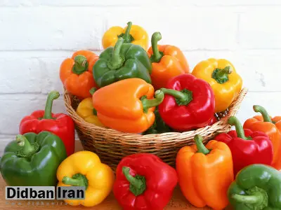چند دلیل خوب برای خوردن فلفل دلمه ای