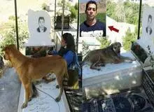 اتفاقی عجیب در یک قبرستان در کرج خبرساز شد/ اینجا بخوانید
